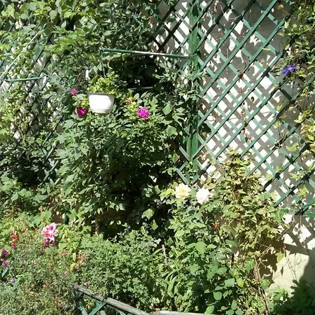 Center 2 Guest house Cluj-Napoca