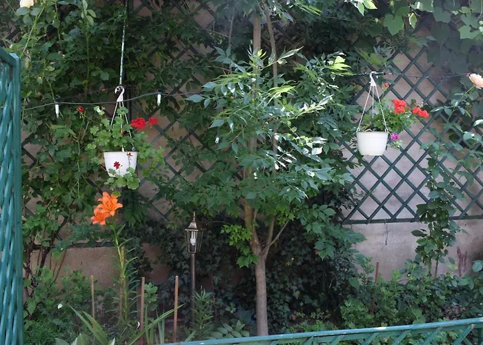 Center 2 Penzion Kluž