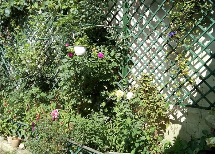 Center 2 Gasthuis Cluj-Napoca